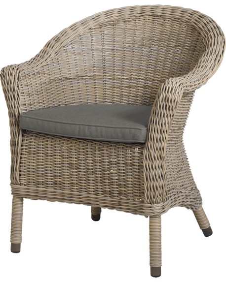 Chester dining chair with cushion pure